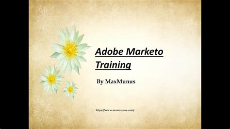 marketo training online.